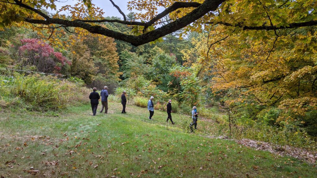 A handful of Oxbow Zen practitioners practicing outdoor kinhin among fall foliage.