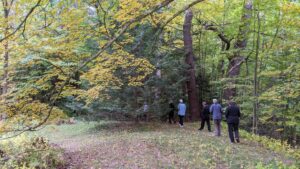 A handful of Oxbow Zen practitioners practicing outdoor kinhin among fall foliage.